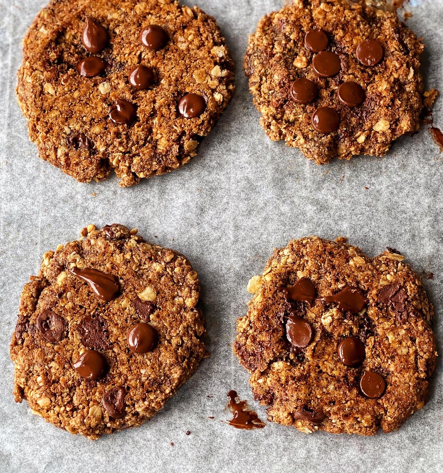 An image of Peanut butter chocolate chip cookies
